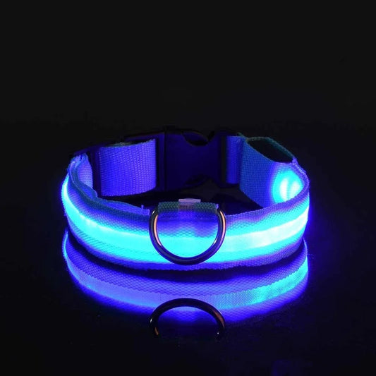 Collier Chien - LEDCollarDog™ - Bleu - La Maison Ideale Des Chiens