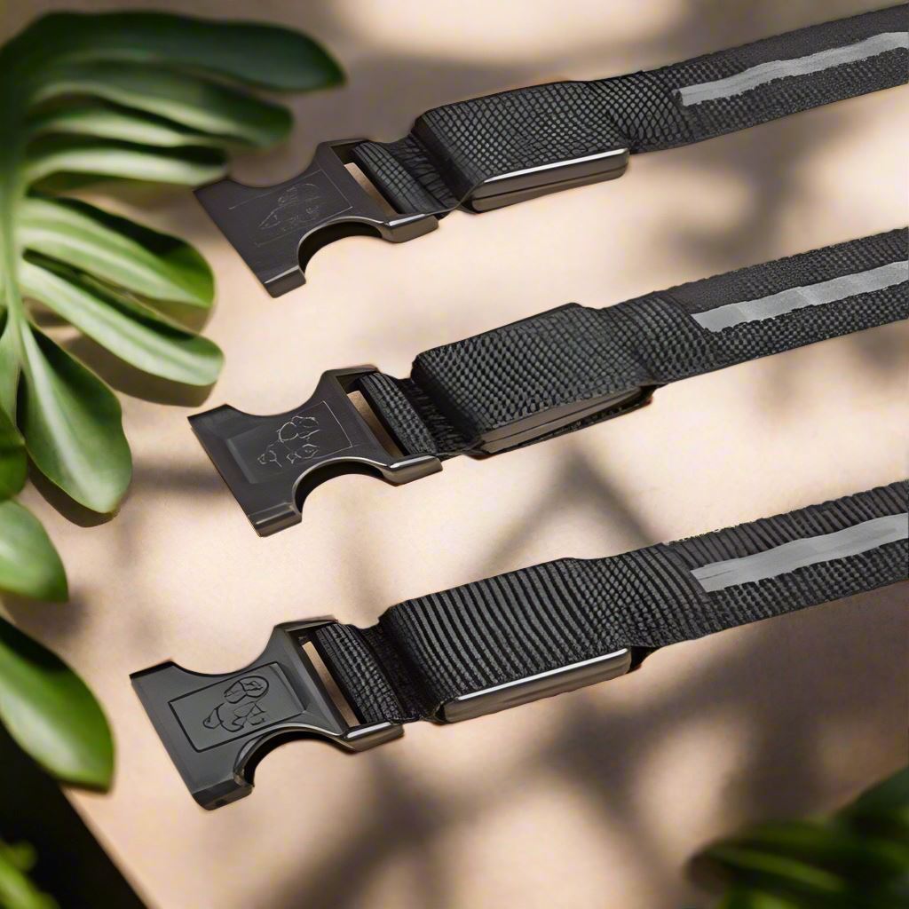 Collier Chien - LEDCollarDog™ - Noir - La Maison Ideale Des Chiens
