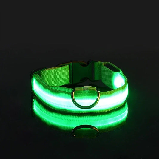 Collier Chien - LEDCollarDog™ - Vert - La Maison Ideale Des Chiens