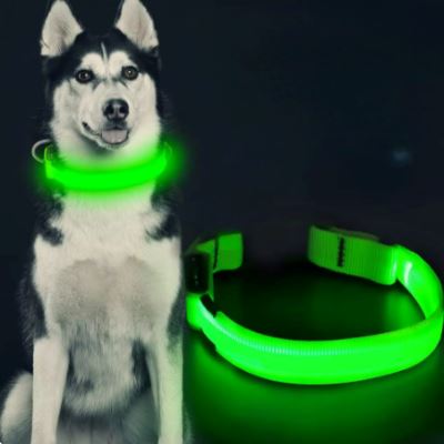 Collier Chien - LEDCollarDog™ - Vert - La Maison Ideale Des Chiens
