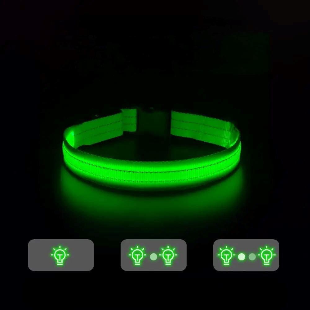 Collier Chien - LEDCollarDog™ - Vert - La Maison Ideale Des Chiens