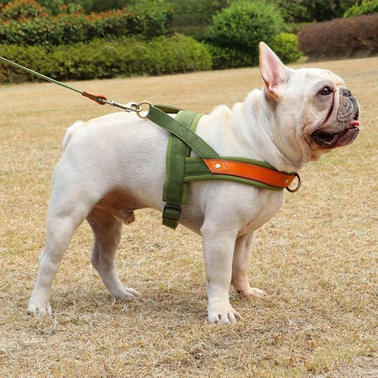 Harnais Chien anti traction | ComfortCanin - La Maison Ideale Des Chiens
