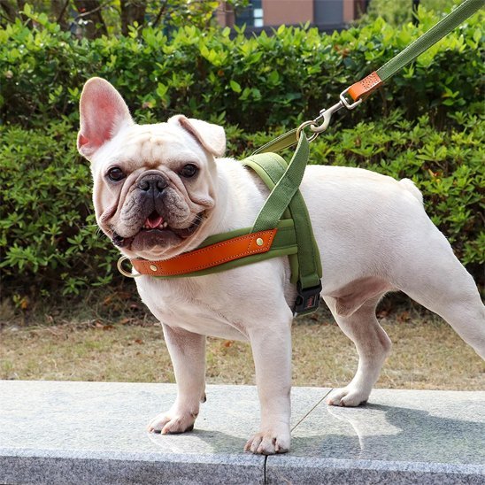 Harnais Chien anti traction | ComfortCanin - La Maison Ideale Des Chiens