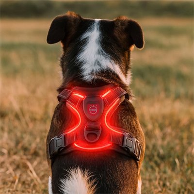Harnais chien | Confort Réglable - La Maison Ideale Des Chiens