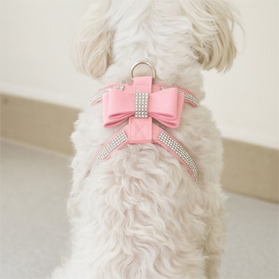Harnais chiot | Confort - Secure - La Maison Ideale Des Chiens