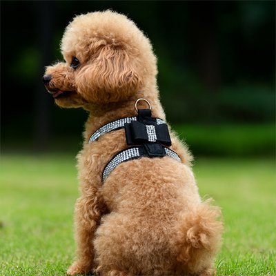 Harnais chiot | Confort - Secure - La Maison Ideale Des Chiens