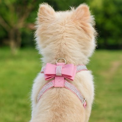 Harnais chiot | Confort - Secure - La Maison Ideale Des Chiens