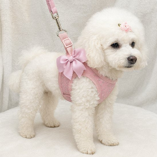 Harnais petit chien | ComfortSecure - La Maison Ideale Des Chiens