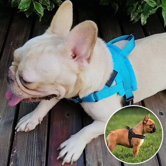 Harnais pour chien | Comfort - Secure - La Maison Ideale Des Chiens