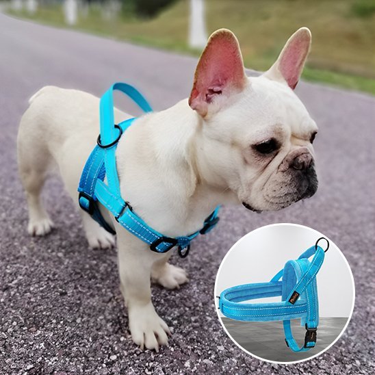 Harnais pour chien | Comfort - Secure - La Maison Ideale Des Chiens