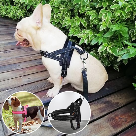 Harnais pour chien | Comfort - Secure - La Maison Ideale Des Chiens