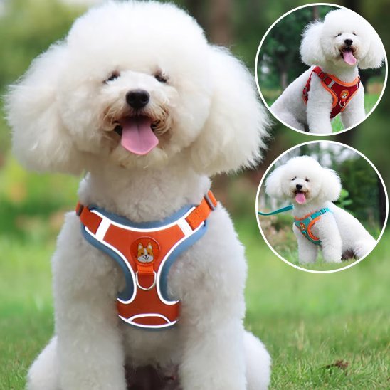 Harnais pour chien | Confort Ajustable - La Maison Ideale Des Chiens
