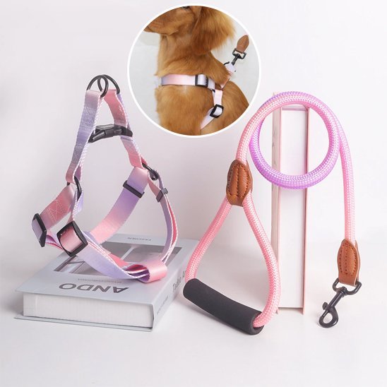 Harnais pour chien | Confort Ajustable - La Maison Ideale Des Chiens