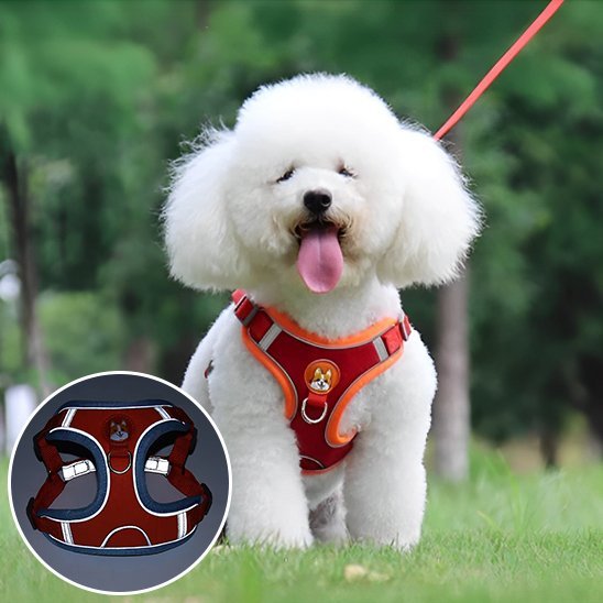 Harnais pour chien | Confort Ajustable - La Maison Ideale Des Chiens