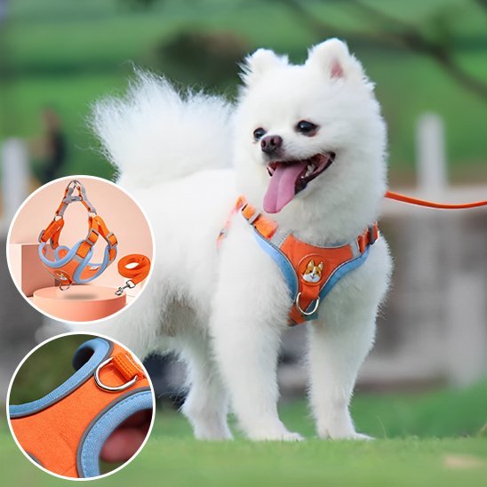 Harnais pour chien | Confort Ajustable - La Maison Ideale Des Chiens