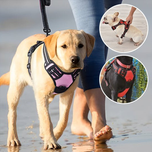 Harnais pour chien | Confort Sécurisé - La Maison Ideale Des Chiens
