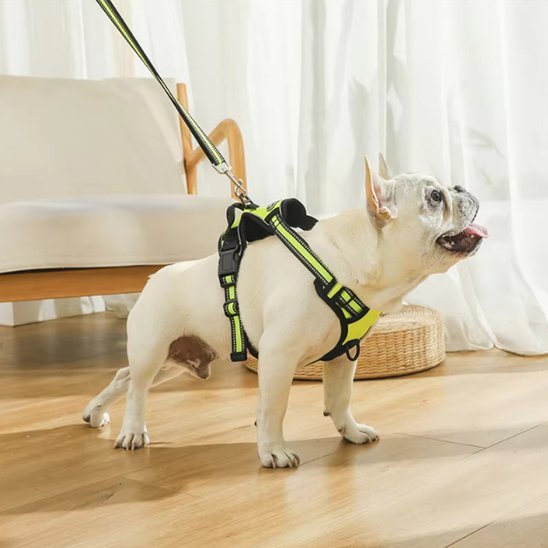 Harnais pour chien | Confort Sécurisé - La Maison Ideale Des Chiens
