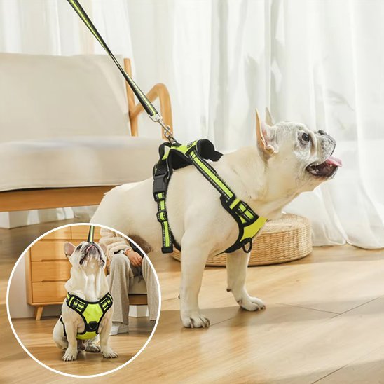 Harnais pour chien | Confort Sécurisé - La Maison Ideale Des Chiens