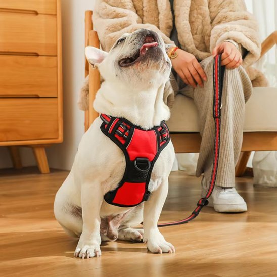Harnais pour chien | Confort Sécurisé - La Maison Ideale Des Chiens