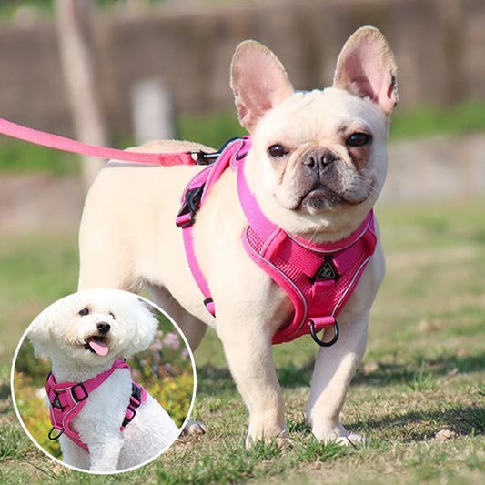 Harnais pour chien | Confort Sécurisé - La Maison Ideale Des Chiens