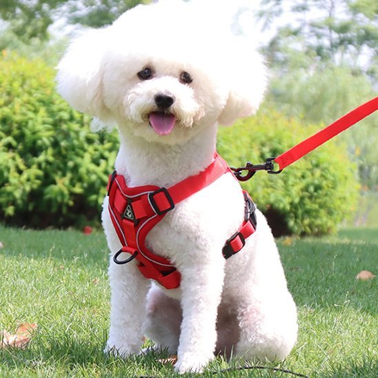 Harnais pour chien | Confort Sécurisé - La Maison Ideale Des Chiens