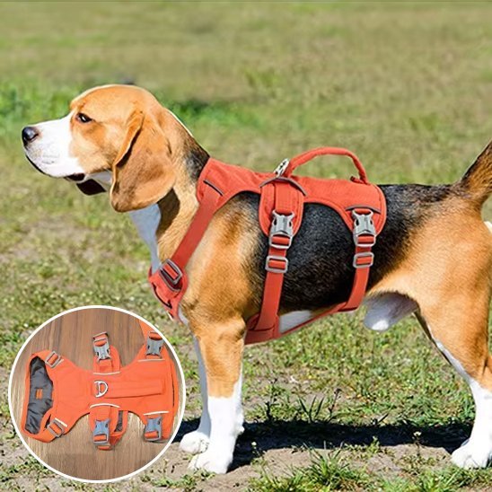 Harnais pour chien | Confort Sécurité - La Maison Ideale Des Chiens