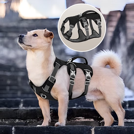 Harnais pour chien | Confort Sécurité - La Maison Ideale Des Chiens