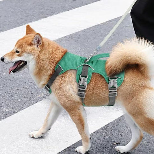Harnais pour chien | Confort Sécurité - La Maison Ideale Des Chiens