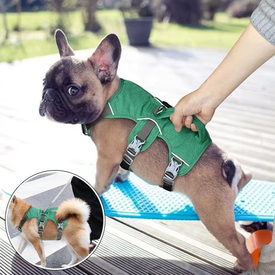 Harnais pour chien | Confort Sécurité - La Maison Ideale Des Chiens