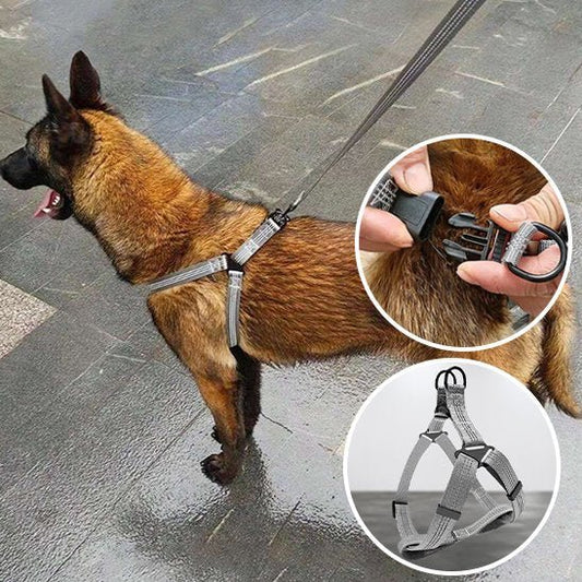 Harnais pour chien | Confort Sécurité - La Maison Ideale Des Chiens