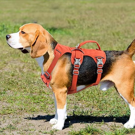 Harnais pour chien | Confort Sécurité - La Maison Ideale Des Chiens