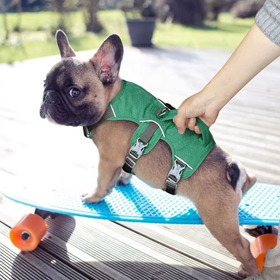 Harnais pour chien | Confort Sécurité - La Maison Ideale Des Chiens