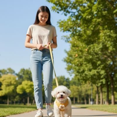 Harnais pour petit Chien | ComfortSecure - La Maison Ideale Des Chiens