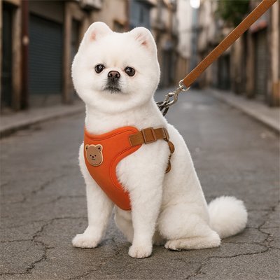 Harnais pour petit Chien | Confort Ajustable - La Maison Ideale Des Chiens