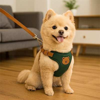 Harnais pour petit Chien | Confort Ajustable - La Maison Ideale Des Chiens