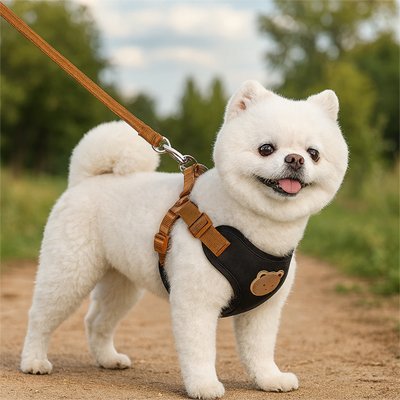 Harnais pour petit Chien | Confort Ajustable - La Maison Ideale Des Chiens