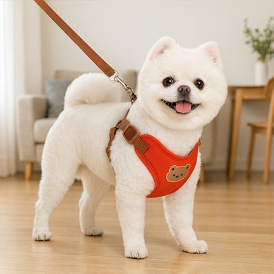 Harnais pour petit Chien | Confort Ajustable - La Maison Ideale Des Chiens