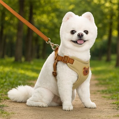 Harnais pour petit Chien | Confort Ajustable - La Maison Ideale Des Chiens