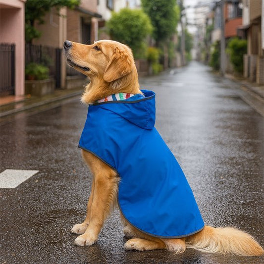 Manteau chien | Confort Hivernal - La Maison Ideale Des Chiens