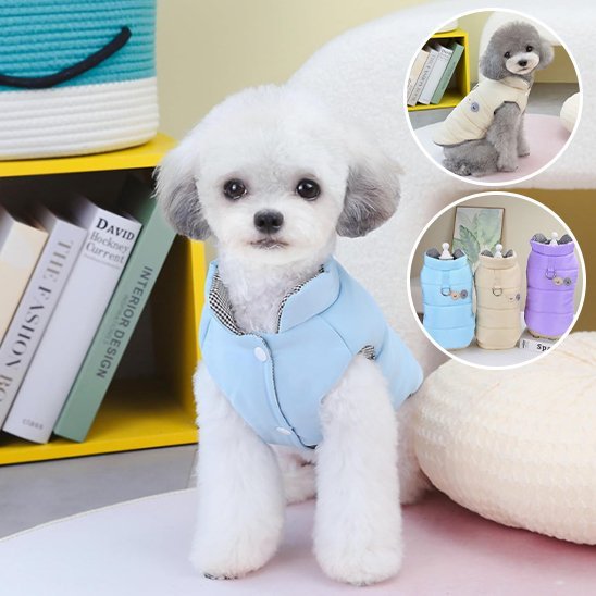 Manteau chien | Hiver Confort - La Maison Ideale Des Chiens