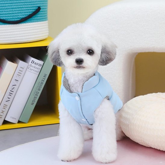 Manteau chien | Hiver Confort - La Maison Ideale Des Chiens