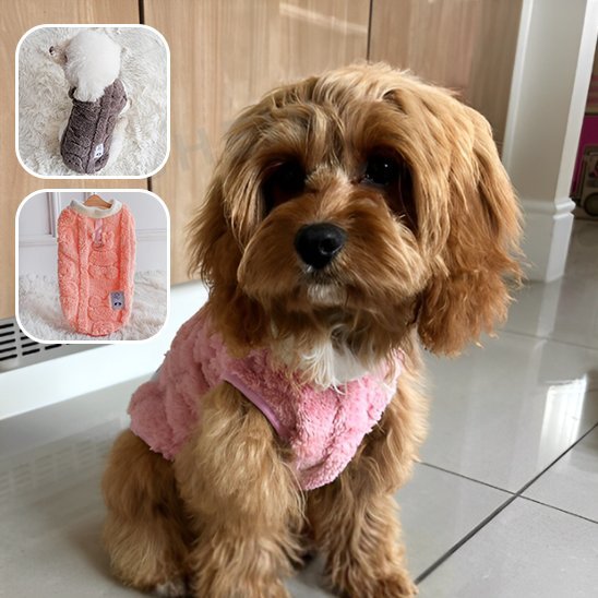Manteau chien | Imperméable & Chaud - La Maison Ideale Des Chiens