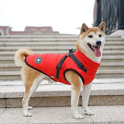 Manteau Chien | Imperméable Confort - La Maison Ideale Des Chiens