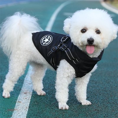 Manteau Chien | Imperméable Confort - La Maison Ideale Des Chiens