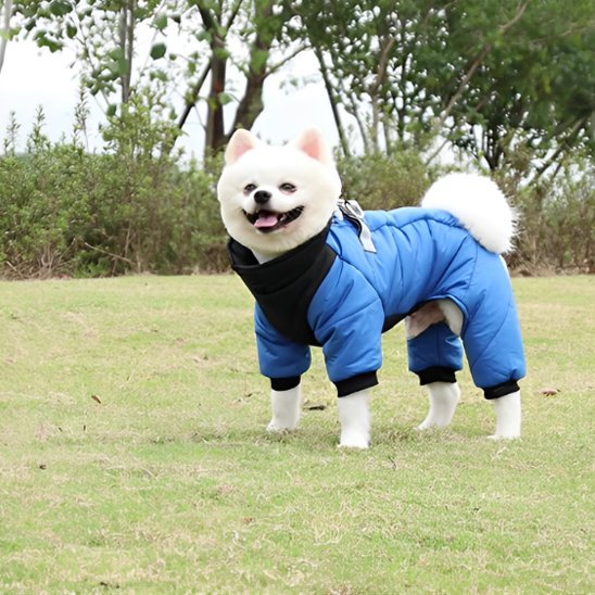 Manteau chien | Imperméable confort - La Maison Ideale Des Chiens