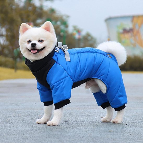 Manteau chien | Imperméable confort - La Maison Ideale Des Chiens