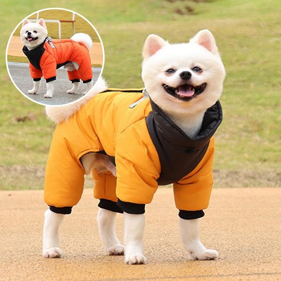 Manteau chien | Imperméable confort - La Maison Ideale Des Chiens