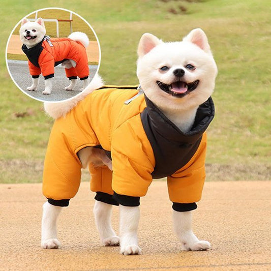 Manteau chien | Imperméable confort - La Maison Ideale Des Chiens
