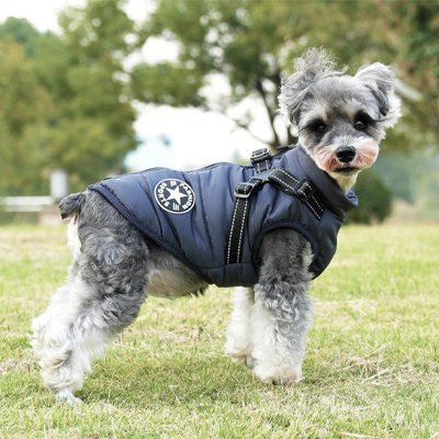 Manteau Chien | Imperméable Confort - La Maison Ideale Des Chiens
