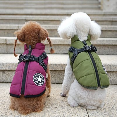 Manteau Chien | Imperméable Confort - La Maison Ideale Des Chiens